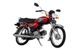 Ravi Hamsafar Plus price in pakistan
