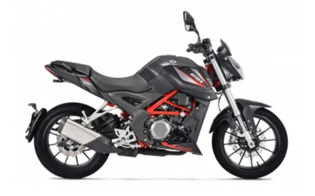 Benelli TNT 25 benelli tnt 25 side view