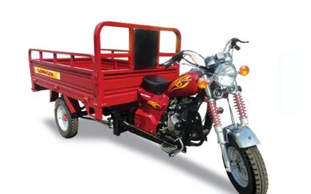 Qingqi MT 150 Qingqi MT 150 exterior