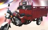 Qingqi Pervaz 150 price in Pakistan